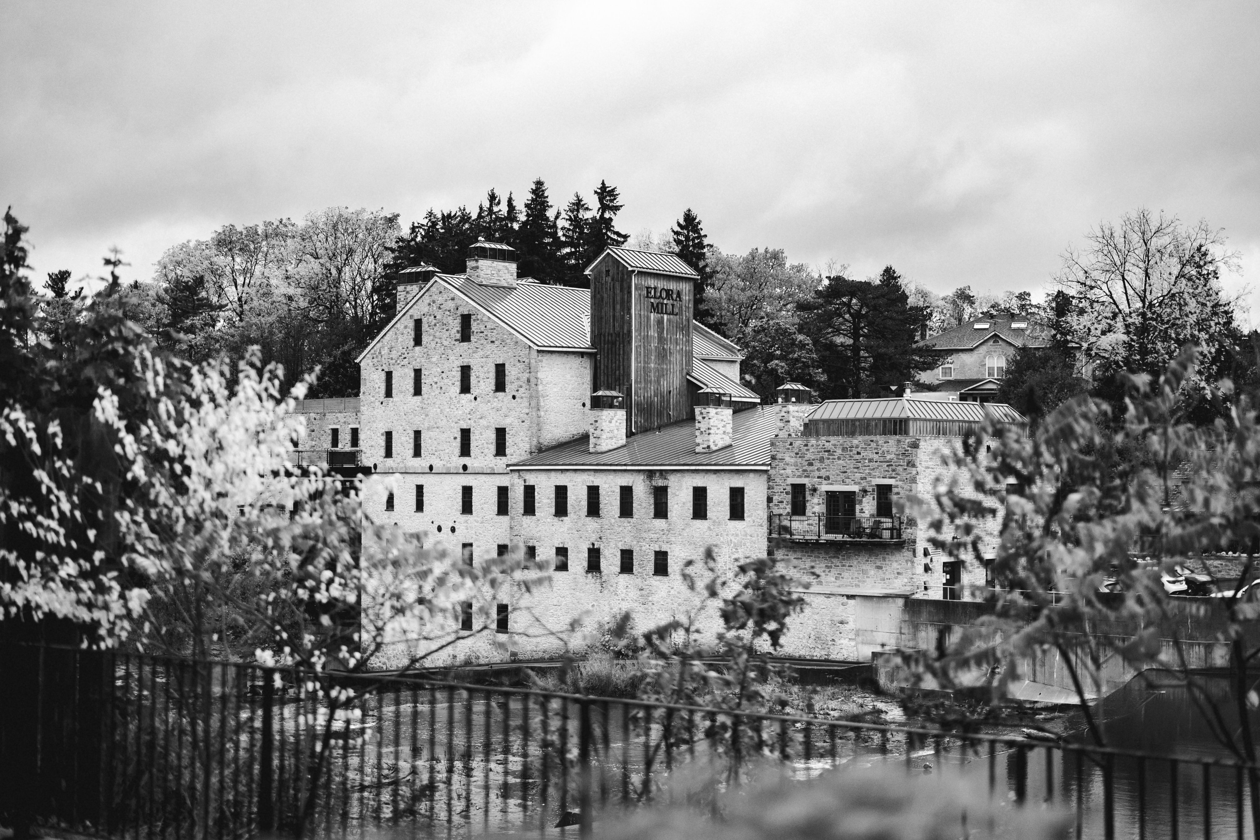 Timothy Muza Photography & Films